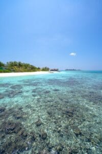 test 4