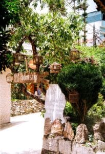 Top homestay on the beach Phu Quoc: Trải nghiệm lưu trú view biển giá rẻ cực chill - Hình ảnh chi tiết