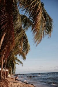 mercury phu quoc resort and villa - Cẩm nang du lịch Bãi Trường Phú Quốc từ A-Z: Bí kíp chọn nơi lưu trú như Mercury Phu Quoc Resort and Villa